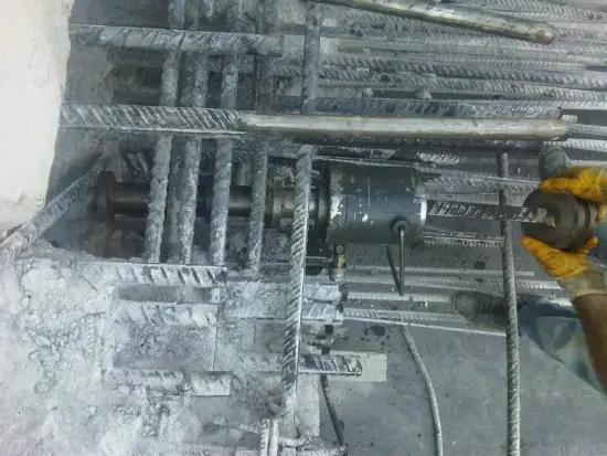 torekent-ankara-filiz-ekimi-emin-karot